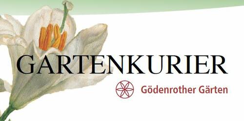 LebensMittelpunkt Garten e.V.
